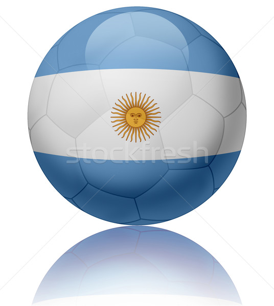 Argentinien Flagge Ball Textur glänzend Fußball Stock foto © fresh_7266481