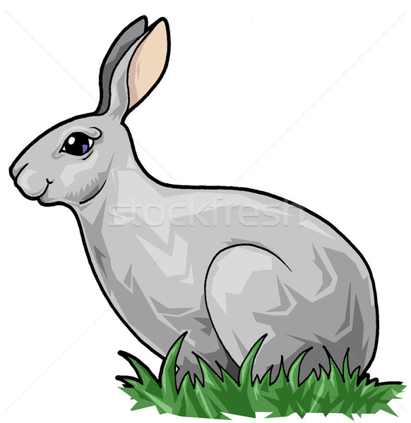 Drăguţ iepure iarbă artistic ilustrare natură Imagine de stoc © fresh_7266481