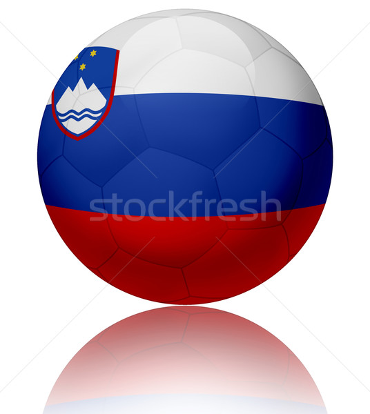 Eslovenia bandera pelota textura balón de fútbol Foto stock © fresh_7266481