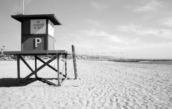 Stock fotó: Elhagyatott · tengerpart · monokróm · szörfözik · szörfös