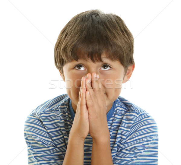 Young boy looks up with hands together Stock photo © Freshdmedia
