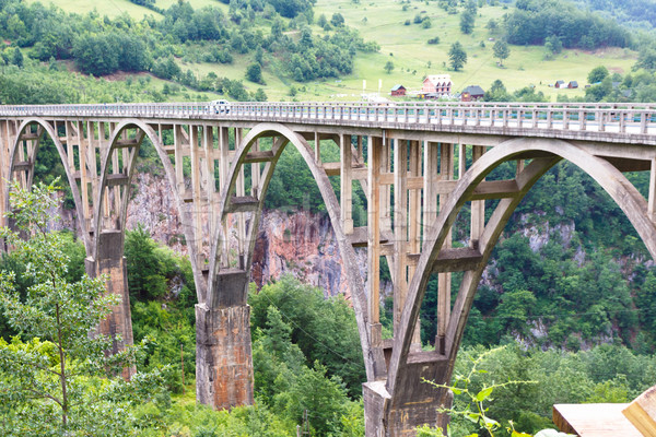 Tara bridge in mountains near Budva  Stock photo © frimufilms