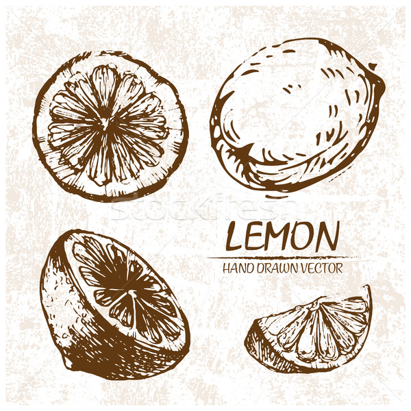 Сток-фото: цифровой · вектора · подробный · лимона · рисованной · ретро