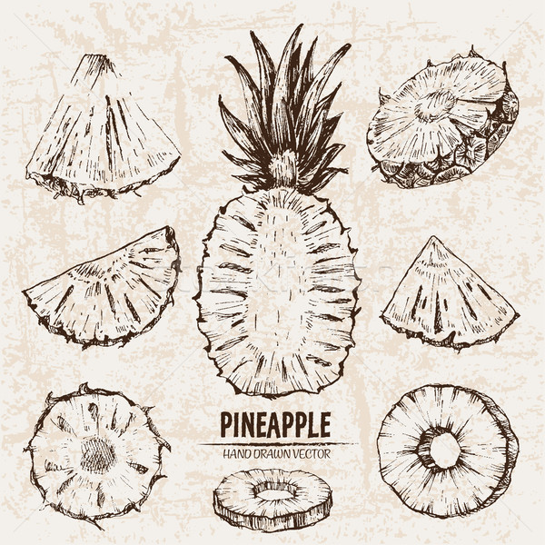 Digital vector detailed line art pineapple Stock photo © frimufilms