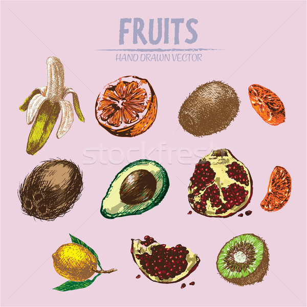 Stock photo: Digital vector detailed fruit hand drawn
