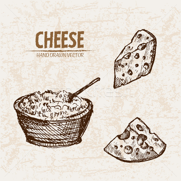 Digital vector detailed line art grated cheese Stock photo © frimufilms