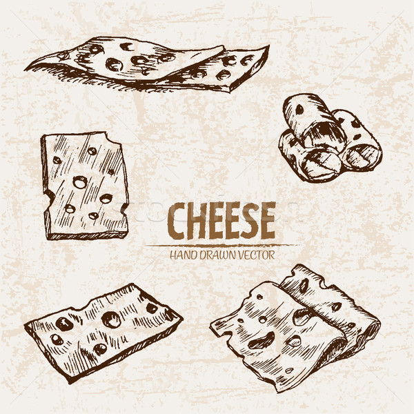 Digital vector detailed line art sliced cheese Stock photo © frimufilms