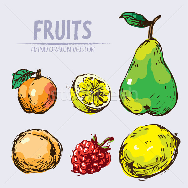 Digital vector detailed fruit hand drawn Stock photo © frimufilms