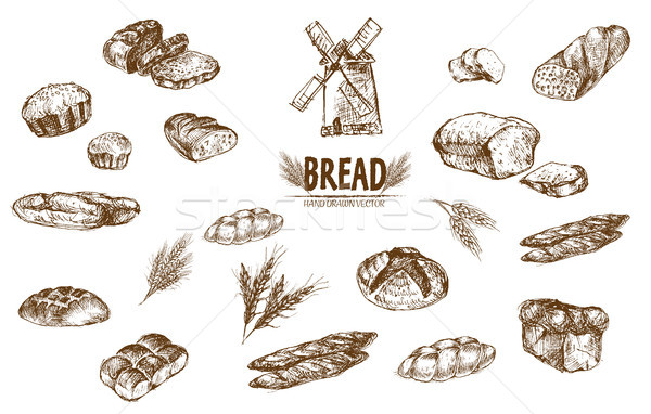 Digital vector detailed line art baked bread Stock photo © frimufilms