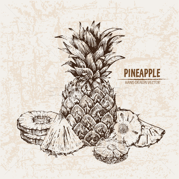 Digital vector detaliat linie artă ananas Imagine de stoc © frimufilms