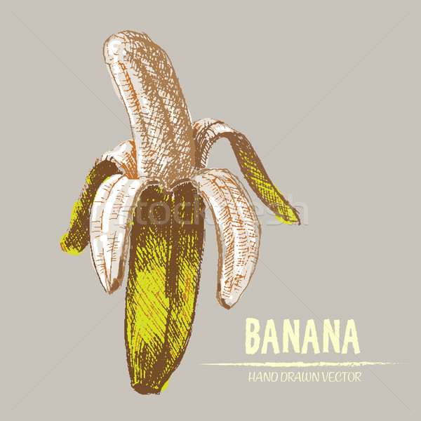 Foto d'archivio: Digitale · vettore · dettagliato · colore · banana