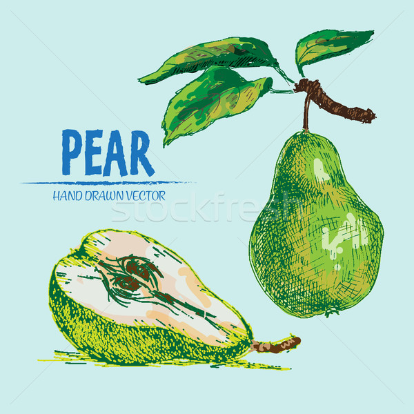 Digital vector detailed color pear hand drawn Stock photo © frimufilms