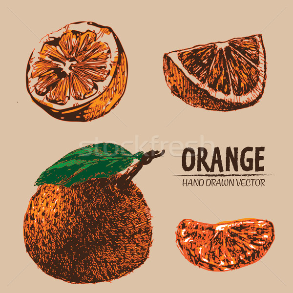數字 向量 詳細 顏色 橙 手工繪製 商業照片 © frimufilms