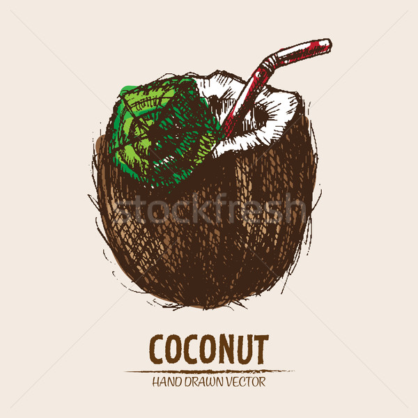 Digital vector detailed coconut hand Stock photo © frimufilms