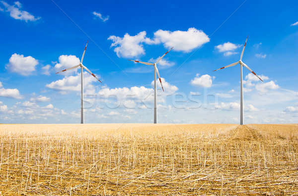 Wind farm Stock photo © froxx