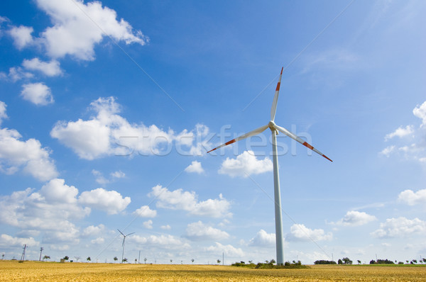 Wind farm Stock photo © froxx