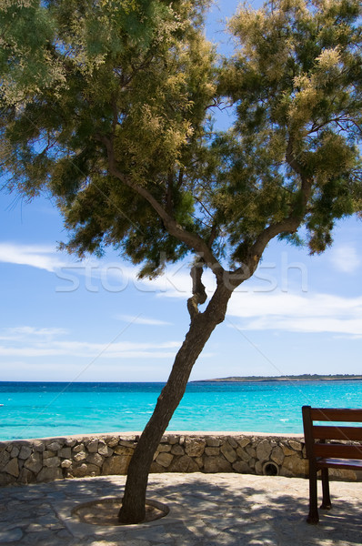 Zee promenade strand hemel landschap Stockfoto © froxx