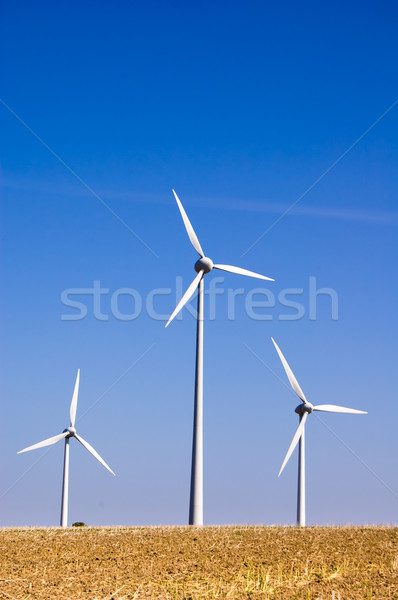 Farma wiatrowa moc wiatr niebo krajobraz technologii Zdjęcia stock © froxx