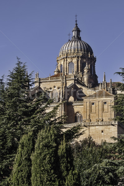 Salamanca cathedral Stock photo © fxegs