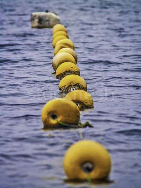 Row of buoys Stock photo © fxegs