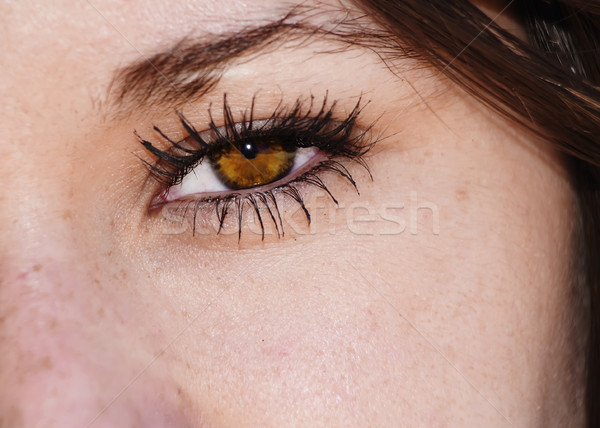Oka ekstremalnych dziewczyna skupić piękna Zdjęcia stock © fxegs