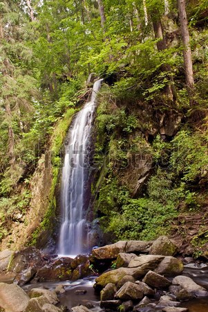 Waterfall in the forest  Stock photo © fyletto