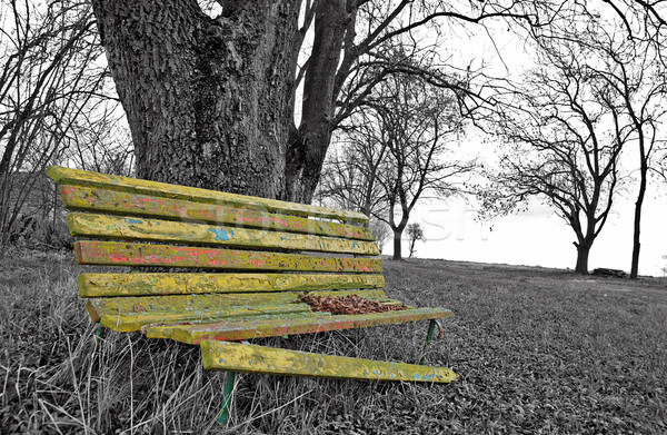 Caduta triste stagione vecchio rotto panchina Foto d'archivio © fyletto