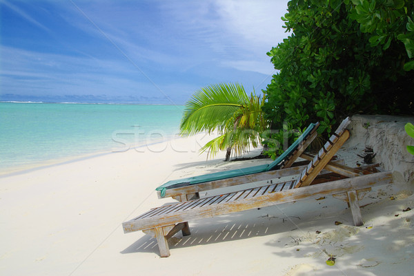 Maldivian beach Stock photo © fyletto