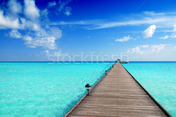 Maldív-szigetek fából készült gyönyörű tenger kék ég óceán Stock fotó © fyletto