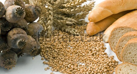 Cereals isolated Stock photo © fyletto