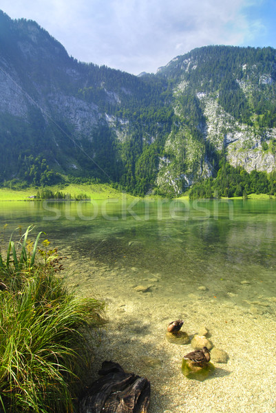 Alpine lake Stock photo © fyletto