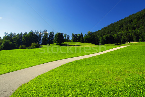 Alpine meadow and road Stock photo © fyletto