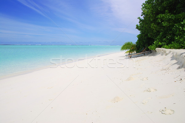 Beach in Maldives Stock photo © fyletto