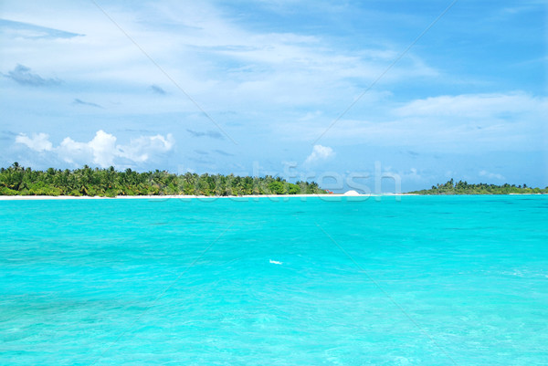 Tropicales paraíso Maldivas blanco playa completo Foto stock © fyletto