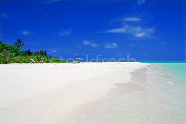 Tropicales paraíso Maldivas blanco playa turquesa Foto stock © fyletto