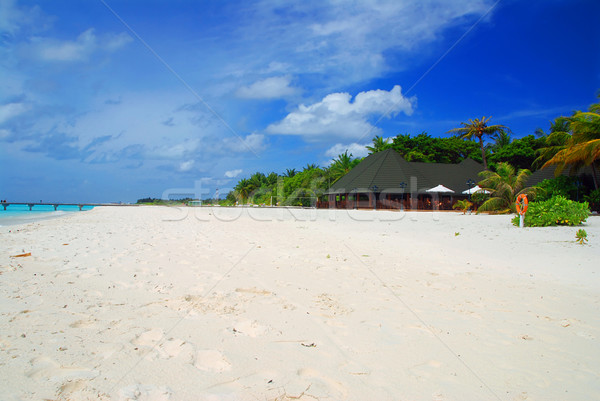 Maldivas tropicales paraíso blanco playa turquesa Foto stock © fyletto