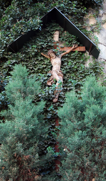 Cross  on the wall with leaves Stock photo © fyletto