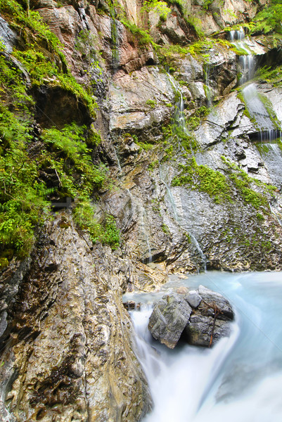 альпийский красивой воды закат природы пейзаж Сток-фото © fyletto