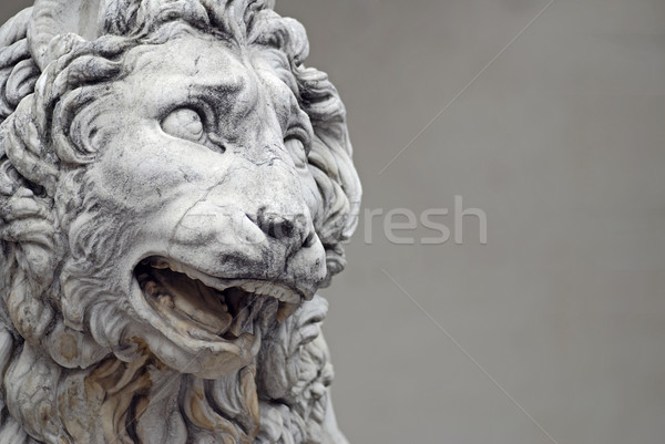Scultura leone dettaglio noto statua firenze Foto d'archivio © fyletto