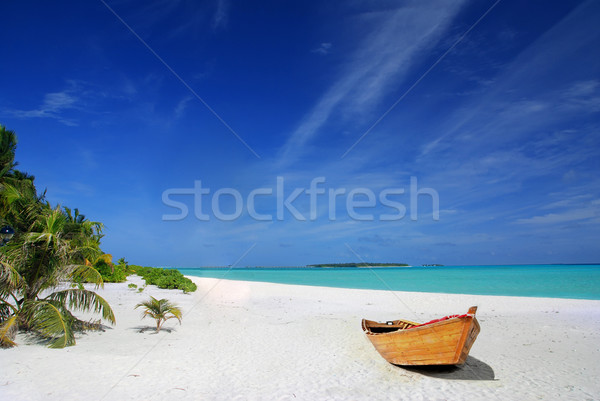 Tropikalnej plaży statku tropikalnych plaży palmy Zdjęcia stock © fyletto