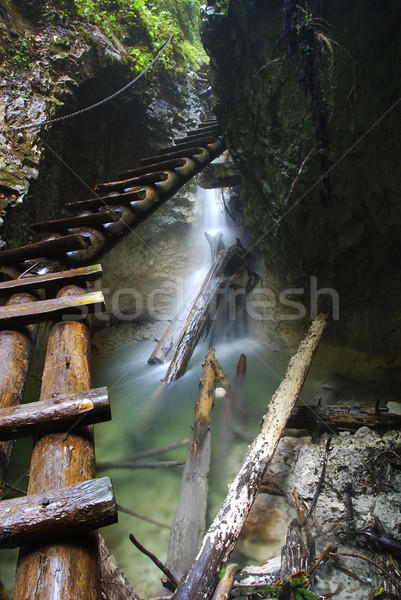 Ekstremalnych przygoda parku wspinaczki śliski Zdjęcia stock © fyletto