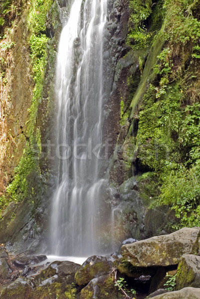 Waterfall Stock photo © fyletto