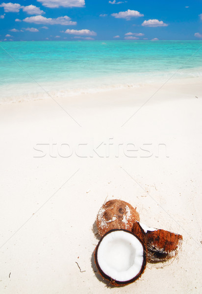 Coco plage noix de coco belle plage tropicale [[stock_photo]] © fyletto