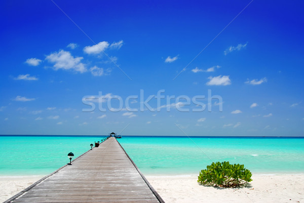Maldivler ahşap güzel deniz mavi gökyüzü okyanus Stok fotoğraf © fyletto