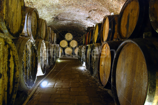 Borospince öreg bor bár ital fények Stock fotó © fyletto