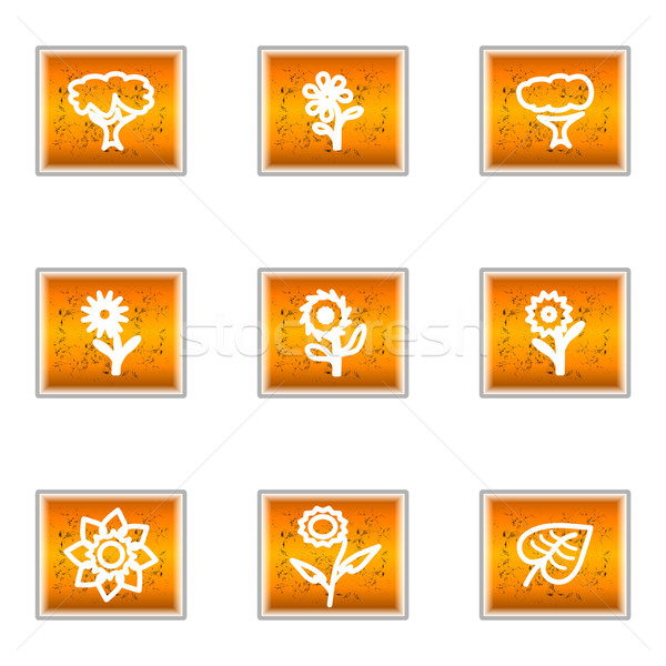 Glossy icon set  Stock photo © Fyuriy