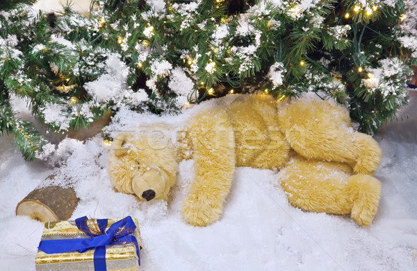 The polar bear is sleeping under the Christmas tree. Stock photo © g215