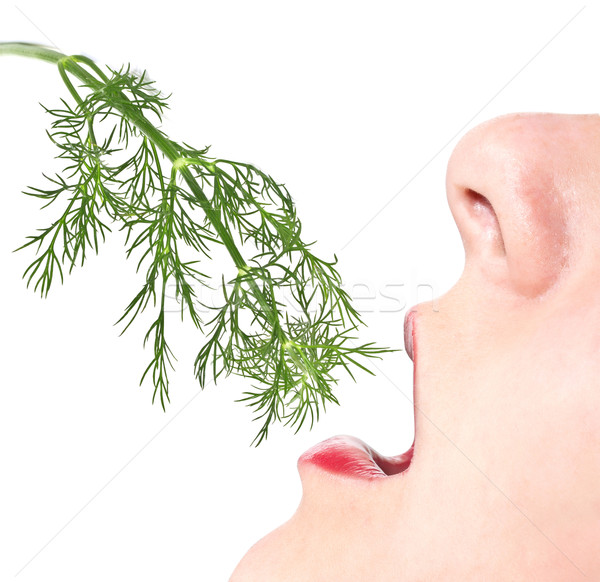 Woman eats a sprig of dill Stock photo © g215
