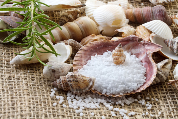 Spa background with sea salt, shells and rosemary Stock photo © g215