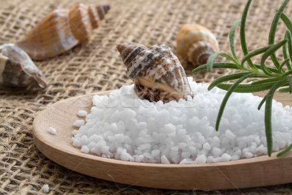 Spa background with sea salt, shells and rosemary Stock photo © g215